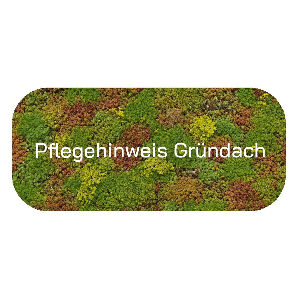 Pflegbild_Grundach